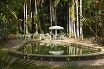 https://rainforest-grove-holiday-resort.queenslandhotels.net